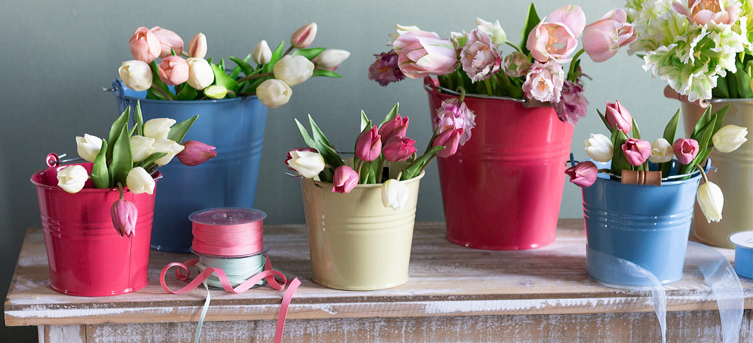 Gartenblume & Wiesenblume