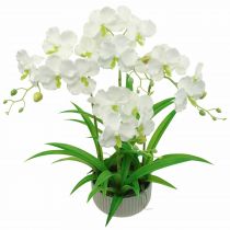 Artikel Künstliche Orchideen Kunstblumen im Topf Weiß 60cm