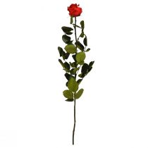 Artikel Infinity Rose mit Blättern Konserviert Amorosa Rot L54cm