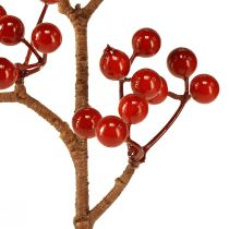 Artikel Leuchtend Rote Beerenzweige – Ideal für Festliche Dekorationen, 30 cm – Set aus 6 St