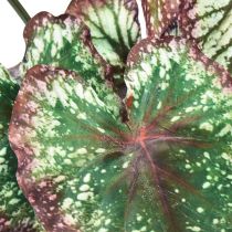 Artikel Begonie Künstliche Pflanzen Blattbegonien Grün Lila 62cm