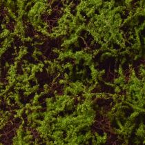 Artikel Künstliches Moos Große Moosmatte Braun Grün 100×50cm