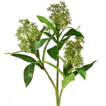 Kunstblumen Grün Skimmia japonica Skimmie 45cm 2St