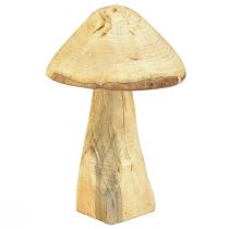 Artikel Natürlicher Deko-Pilz aus Ulmenholz – Rustikales Design, 27 cm – Charmante Gartendekoration
