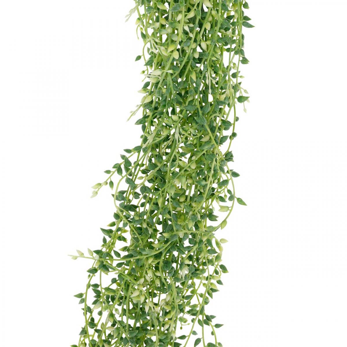 Floristik24.at Sukkulente hängend künstlich Hängepflanze 96cm-11943 Grün