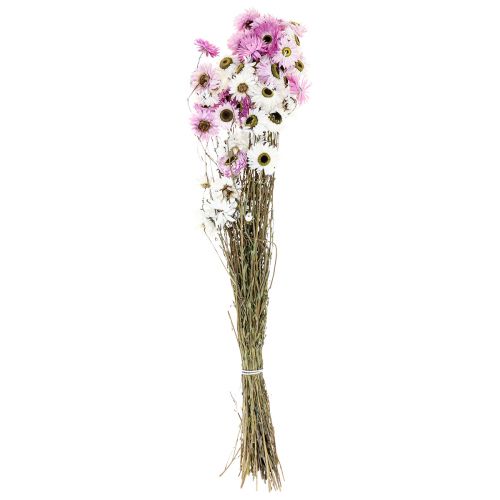 Artikel Trockenblumen Weiß Rosa Strohblumen 40-45cm 30g