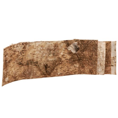 Floristik24 Birkenrinde Deko Rinde Streifen Natur Weiß 48×15cm 6 St