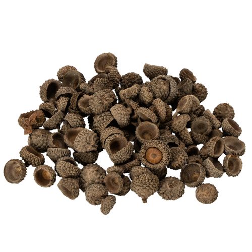 Artikel Eichelkappen natur 2cm braun 300g Dekoration Herbst Advent