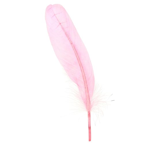 Floristik24 Federn zum Basteln Rosa Gänsefedern 18cm – 20cm 20g x 2St