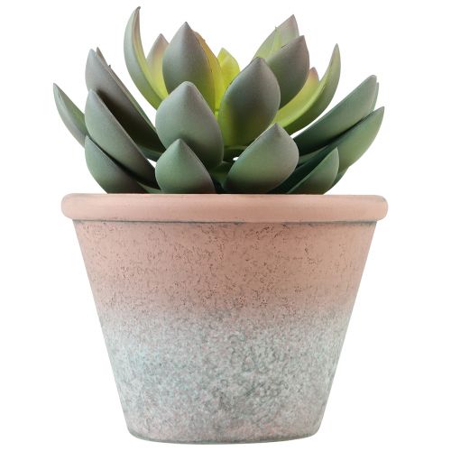 Floristik24 Sukkulente im Topf Echeveria künstlich Grün Vintage Ø15cm H16cm