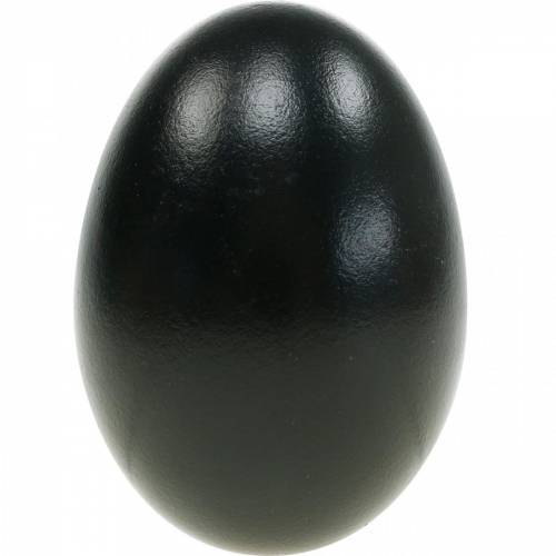 Artikel Gänseeier Schwarz Ausgeblasene Eier Osterdeko 12 St