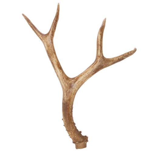 Artikel Künstliches Geweih Polyresin naturgetreu 32 cm Innenräume