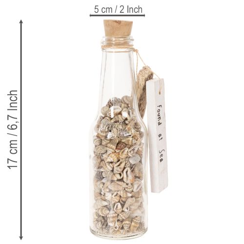 Artikel Glasflaschen-Set mit Muschelfüllung und Anhänger, 17 cm, 2 Stück