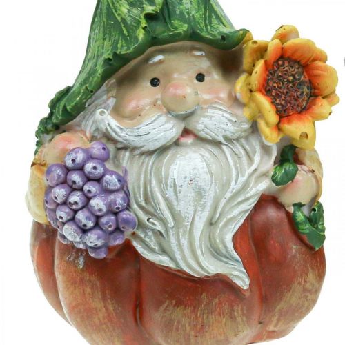 Floristik24 Herbstwichtel Kürbis Deko Wichtel Figur Sortiert H11,5cm 2St