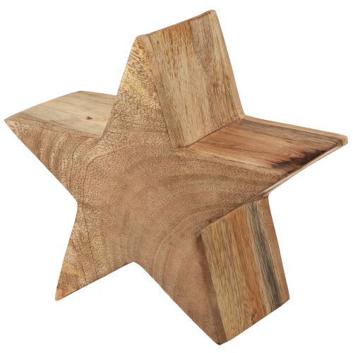 Floristik24 Holzdeko Stern Deko Mangoholz Tischdeko Natur Ø20cm