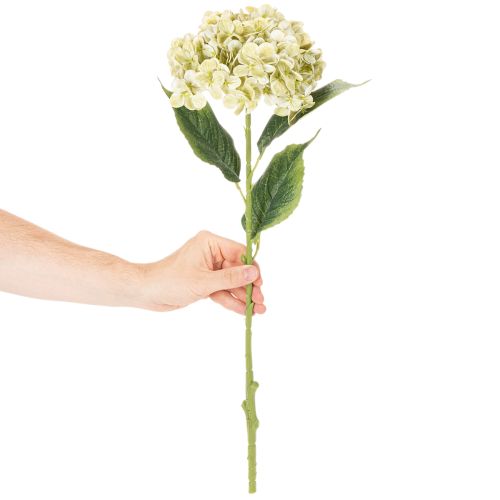 Artikel Künstliche Hortensie aus Seidenstoff mit langem Stiel in Creme-Grün, 60 cm