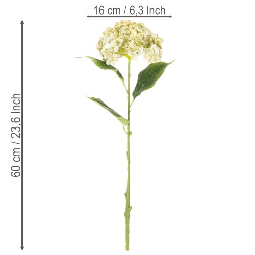 Artikel Künstliche Hortensie aus Seidenstoff mit langem Stiel in Creme-Grün, 60 cm