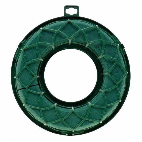 Floristik24 OASIS® IDEAL Universal Ring Steckschaum-Kranz Grün H4cm Ø18,5cm 5 St