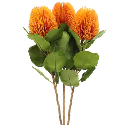 Kunstblumen, Banksia, Proteaceae Orange L58cm H6cm 3 St