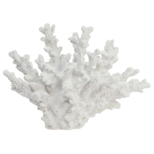 Floristik24 Maritime Deko Koralle Polyresin Weiß 18,5×26cm