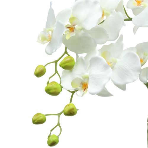 Artikel Orchidee Weiß auf Erdballen 65cm