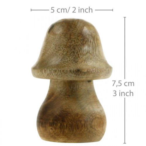 Floristik24 Pilz Mangoholz Natur Holzpilz Herbstdeko Ø5cm H7,5cm 6St