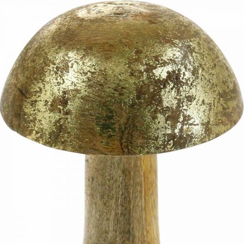 Floristik24 Pilz Mangoholz Gold, Natur Dekopilz Ø9cm H15,5cm 2St