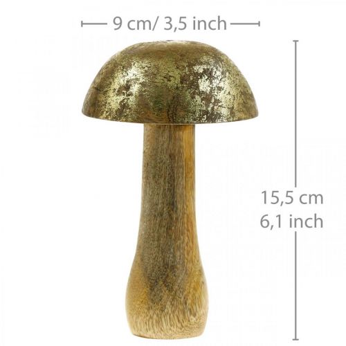 Floristik24 Pilz Mangoholz Gold, Natur Dekopilz Ø9cm H15,5cm 2St