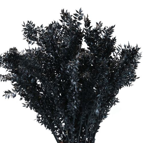 Floristik24 Ruscus getrocknet Dekozweige Ruscus Schwarz 1kg