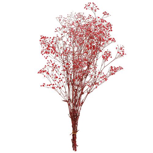 Artikel Schleierkraut Gypsophila Trockenblumen Rot 50cm 55g