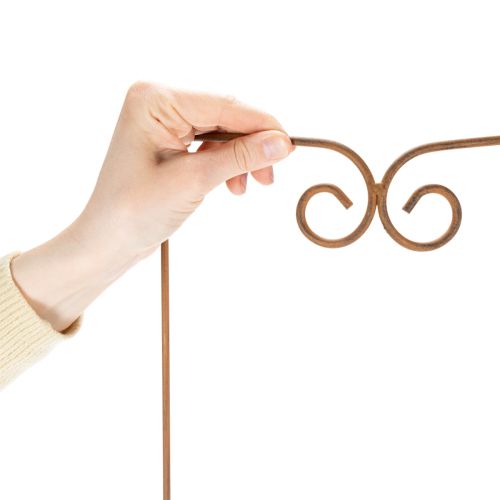 Artikel Rankhilfe aus Metall, geschwungenes Rankgitter für Garten und Pflanztöpfe, 75 cm Höhe, Braun