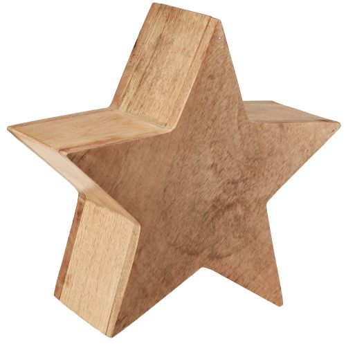 Stern Deko Holz Tischdeko Mangoholz zum Stellen Natur Ø24cm