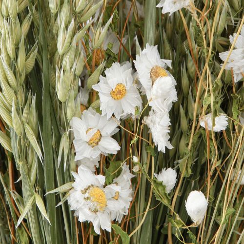 Artikel Strauß Trockenblumen Weiß Strohblumen Hafer Lagurus 55cm