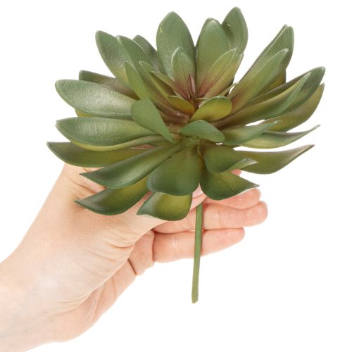 Artikel Künstliche Sukkulenten grün 18cm 3er-Set aus Kunststoff