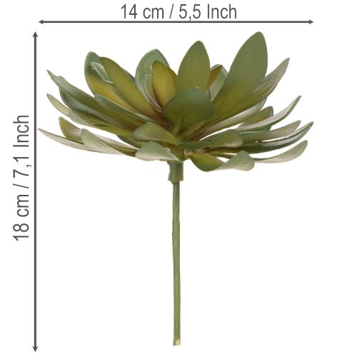 Artikel Künstliche Sukkulenten grün 18cm 3er-Set aus Kunststoff