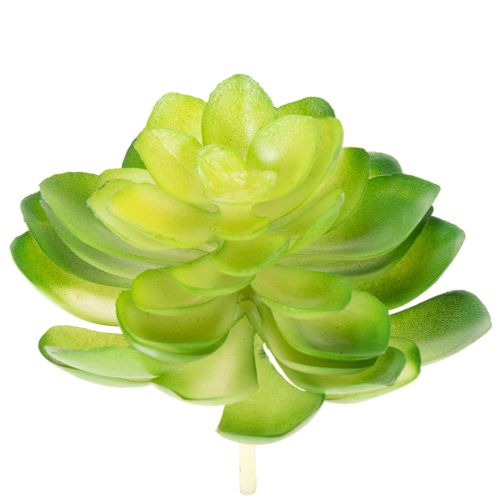 Artikel Künstliche Sukkulenten grün 10 cm, 4 Stück, Dekoration für Schale oder Vase