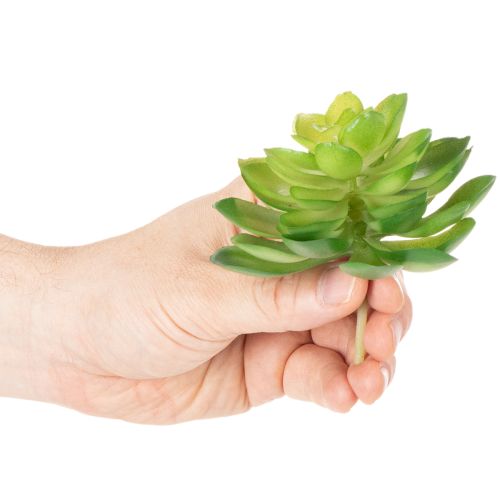 Artikel Künstliche Sukkulenten grün 10 cm, 4 Stück, Dekoration für Schale oder Vase
