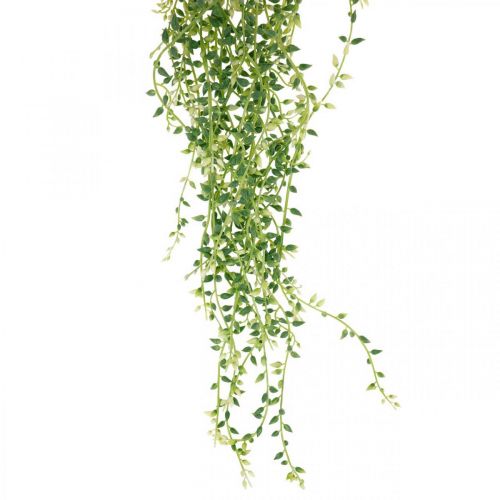 Floristik24.at hängend 96cm-11943 Grün Sukkulente Hängepflanze künstlich
