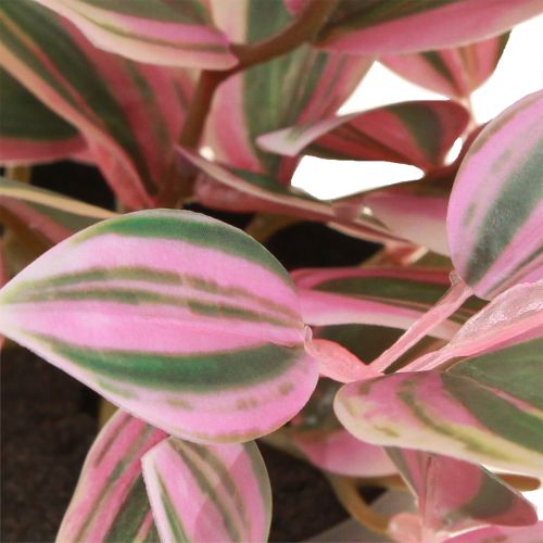 Artikel Tradescantia Künstliche Grünpflanze im Topf H19,5cm 2St