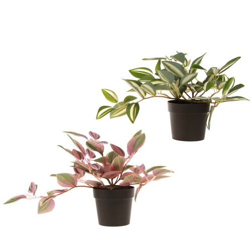 Artikel Tradescantia Künstliche Grünpflanze im Topf H19,5cm 2St