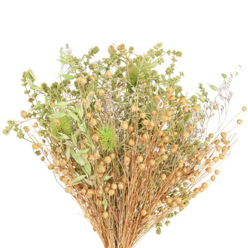 Trockenstrauß Karden Hafer Flachs Mint Natur Weiß 40cm 80g