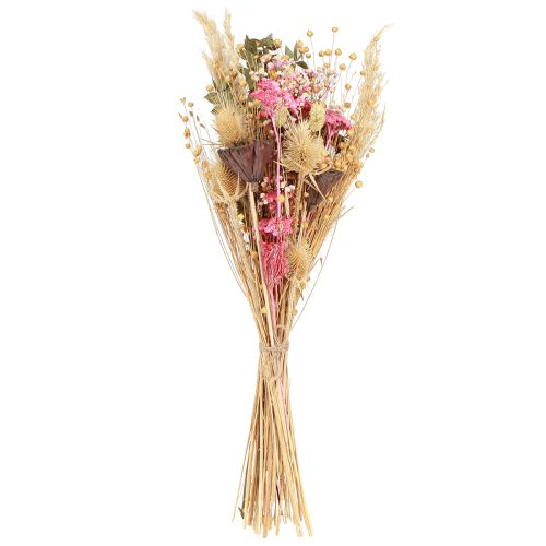 Artikel Trockenstrauß Lotos Flachs Distel Rosa Creme 50cm 100g