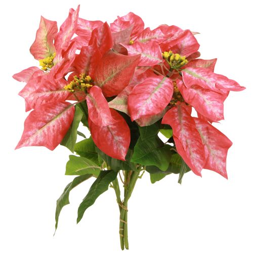 Artikel Weihnachtsstern Künstlich Rot Rosa L35cm 6 St 2 Bund