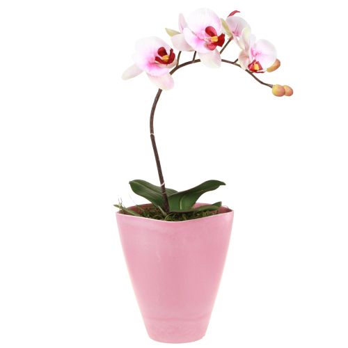 Blumentopf Plastik Vase Orchideentopf Pink H16,5cm 4St