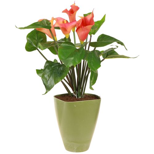 Artikel Orchideentopf Blumentopf Plastik Vase Grün H16,5cm 4St