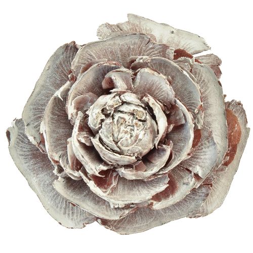 Artikel Zeder Zapfen geschnitten wie Rose Cedarrose 4-6cm weiß/natur 50 Stück