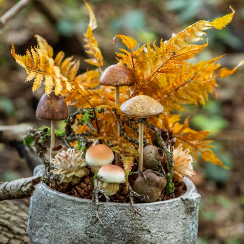 Artikel Deko Pilze am Stab Klein und Groß Braun H10/11,5cm 8St