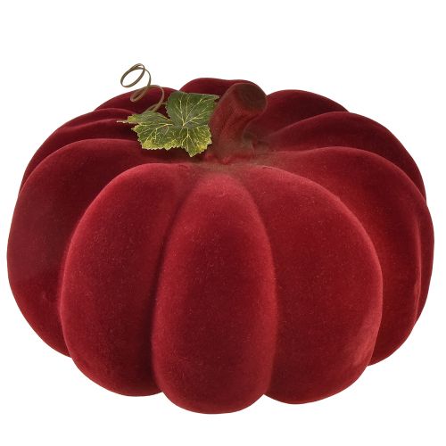 Artikel Herbstdeko Kürbis beflockt Rot Burgund – Kürbis-Deko für einzigartiges Herbst-Ambiente 32cm