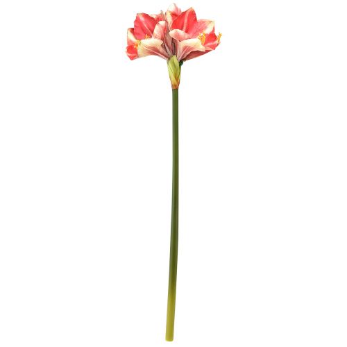 Artikel Künstliche Amaryllis Pink und Creme – Große Stielblume 76cm