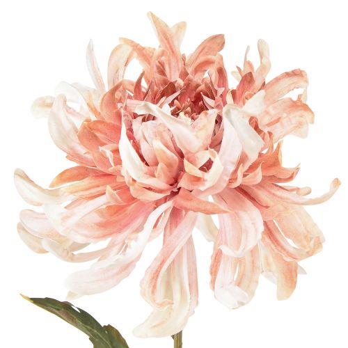 Artikel Künstliche Chrysanthemen Rosa Mauve Ø13cm L72cm 2St
